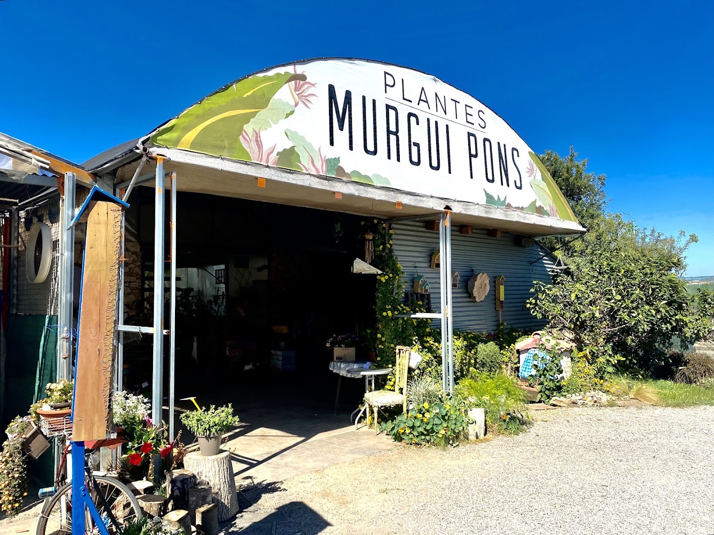 Entrada del vivero Murgui Pons con invernadero y plantas